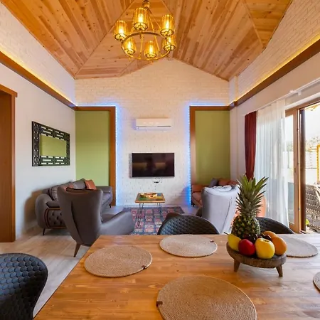 Apartment Dumi House *